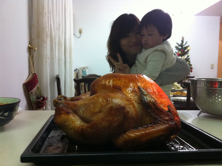 home made turkey
